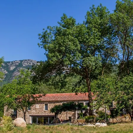 La Mecanique Des Freres Bonano *